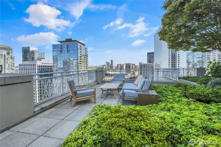 The rooftop deck is beautifully designed with expansive stone tile flooring.