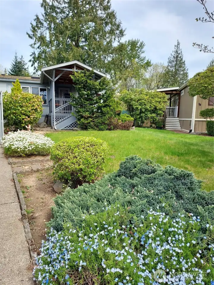 Mature landscaping Mature landscaping
