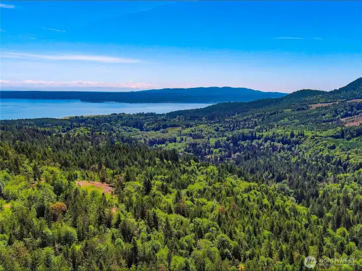 Aerial view of the homesite with Rainier in distance.