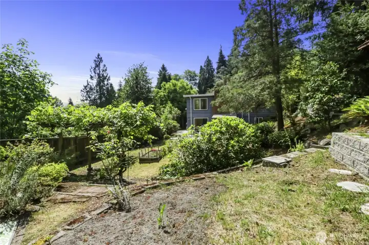 Looking toward the house from the back fence. Looking toward the house from the back fence.