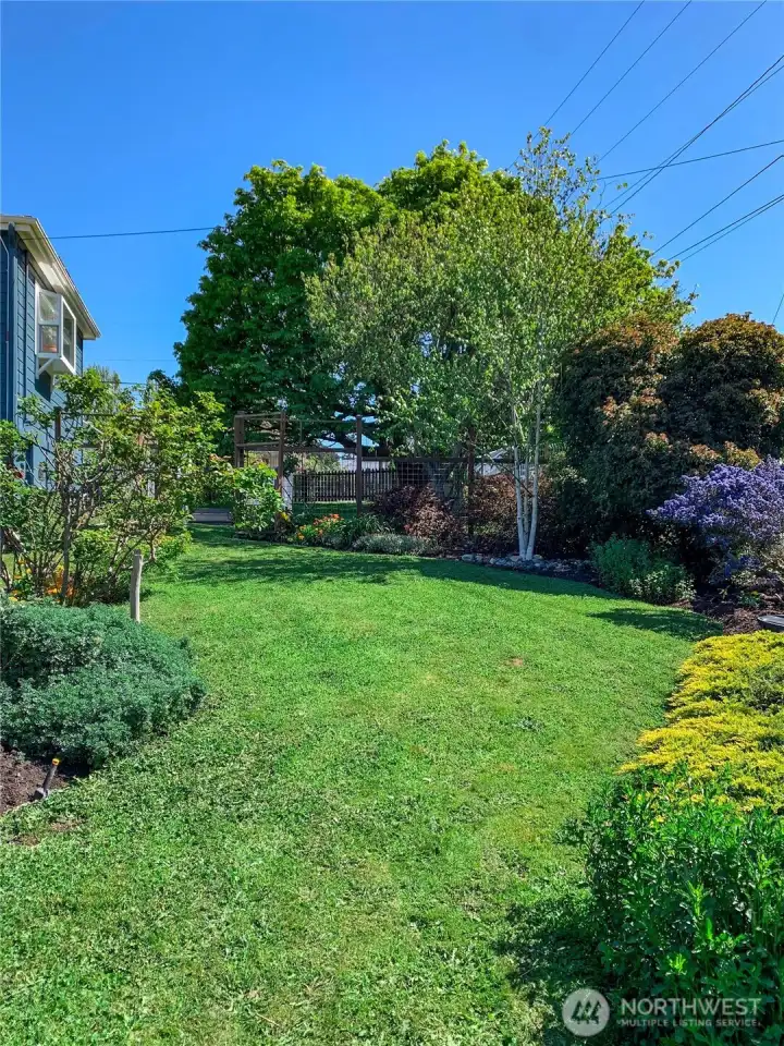 Great double lot with tons of space.