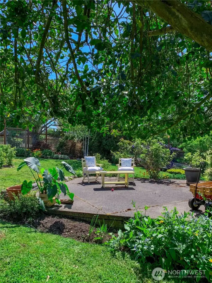 Patio area for sitting or BBQ