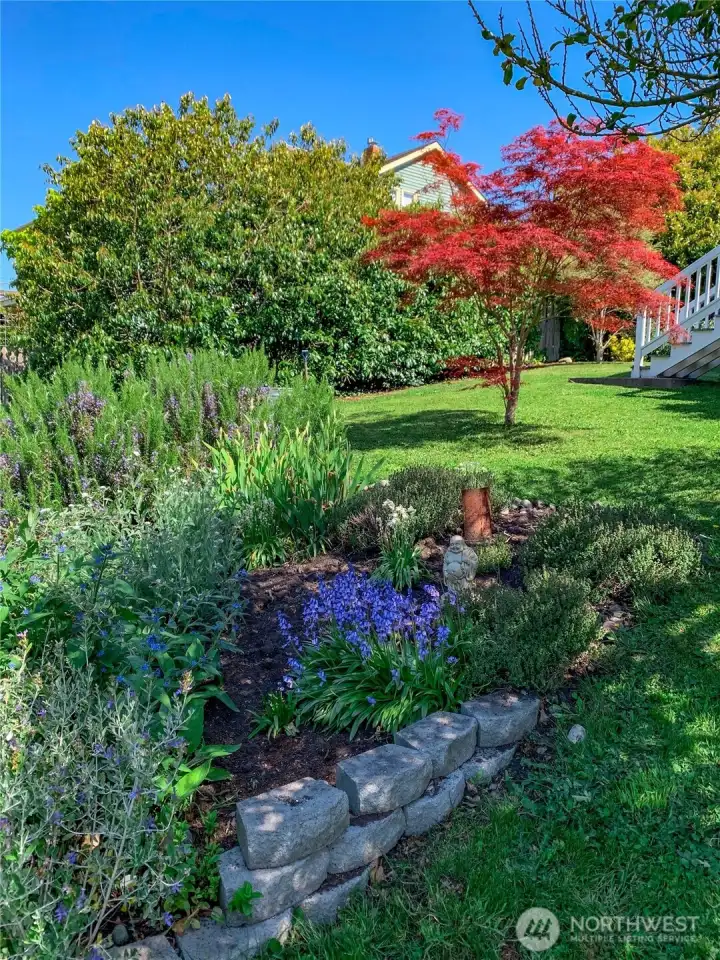 Lovely trees and garden spaces.