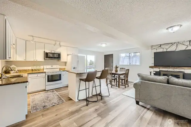 This is the downstairs Great Room area. Can be completely separate living quarters with its own entrance. Kitchen has granite countertops and all new lower cabinets along wall.