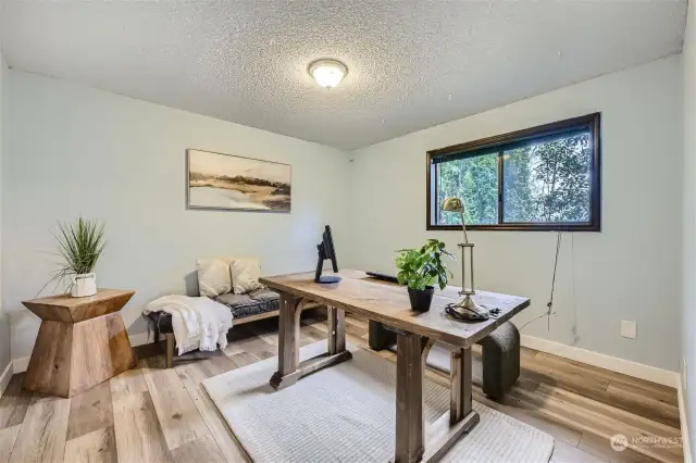 Downstairs office. Stand-alone closet makes it a bedroom.