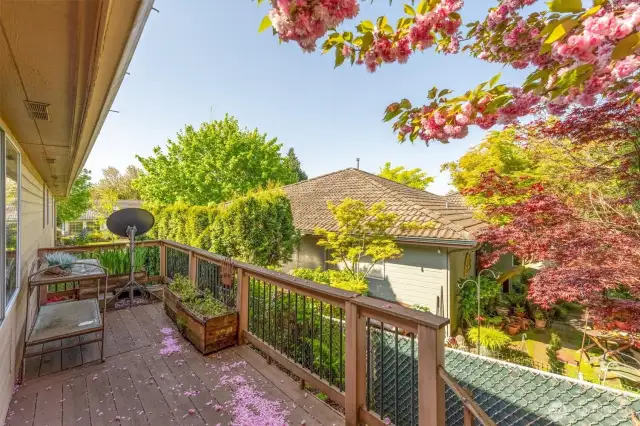 Private Backyard deck