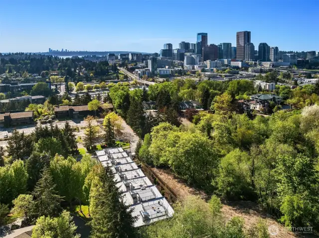 W Townhomes are 8 single family homes nestled next to the Bellevue Botanical Gardens, private rooftops decks and large main floor patios and attached garages