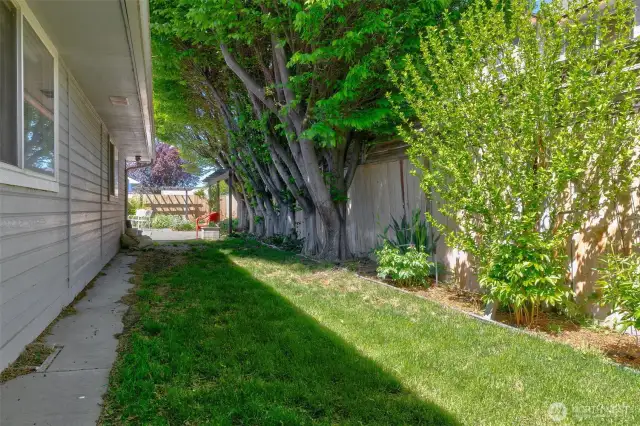 Lawn next to patio