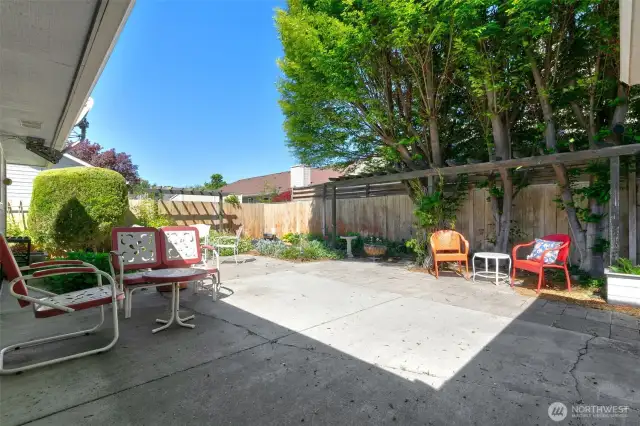 View of rear patio from back door