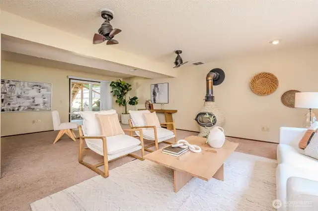 additional family room or rec room on the lower lever, with pot belly stove and slider to the backyard.