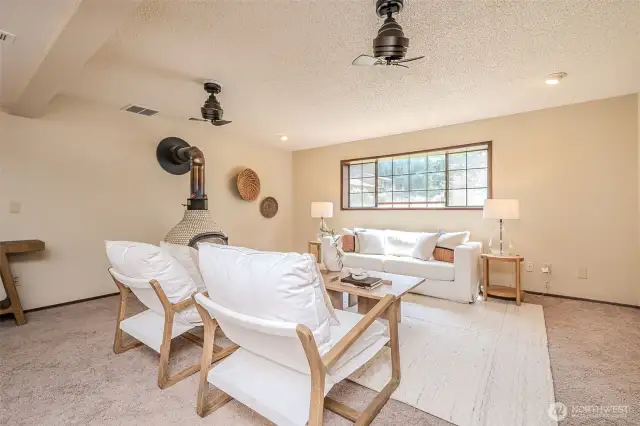 large space on lower level with room to flex.