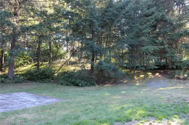 Trees line the back of the lot.