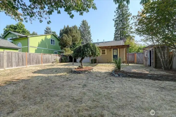 Backyard