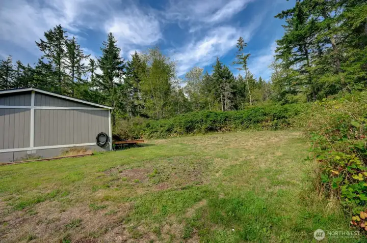 View of backyard space from behind shop