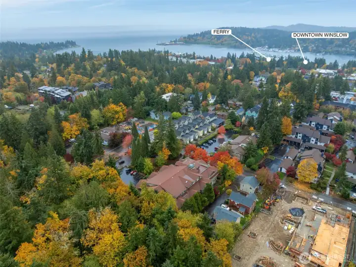 Ideal Island location