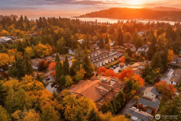 Your Island Oasis awaits