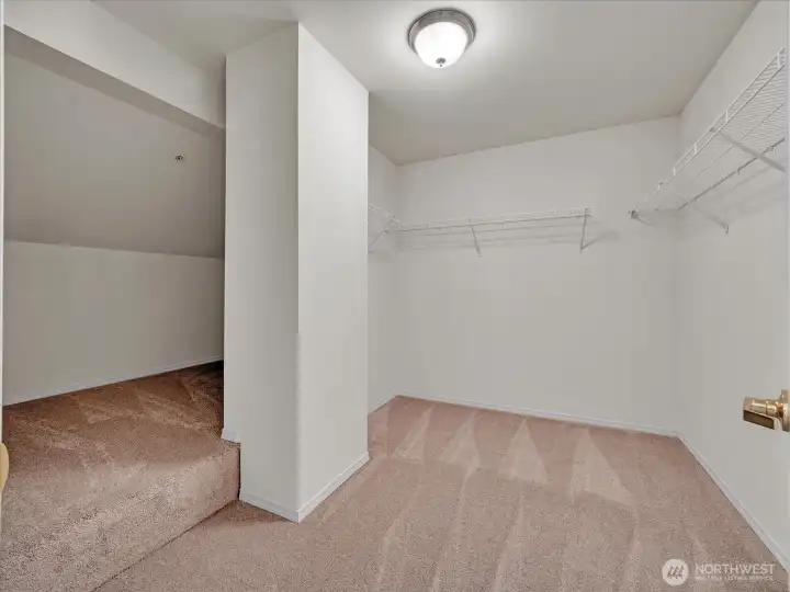 Huge Primary Closet