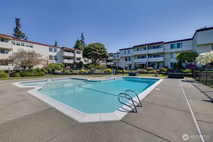 Gorgeous Pool Gorgeous Pool