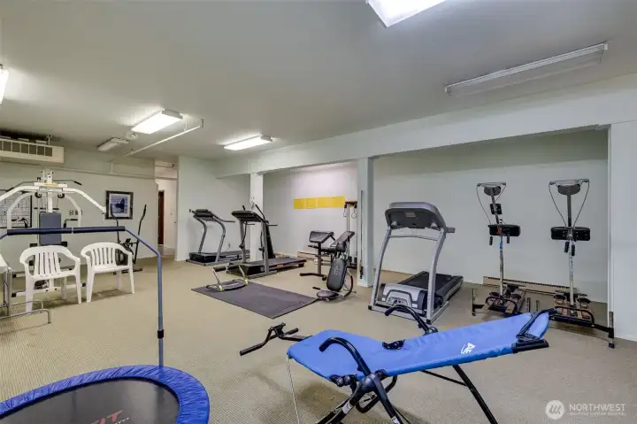 Exercise Gym Exercise Gym