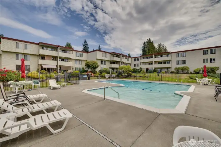 Beautiful Outdoor Pool