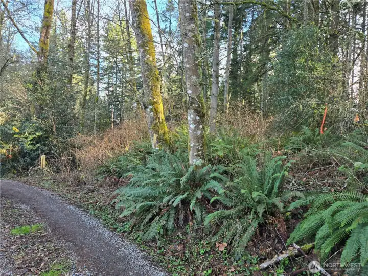 Walk into the land at this orange ribbon.