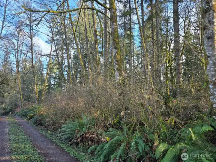 This is the neighbors driveway and we don't know exact location of the property line.