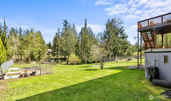 Fruit trees (Plumb & apple) - garden area