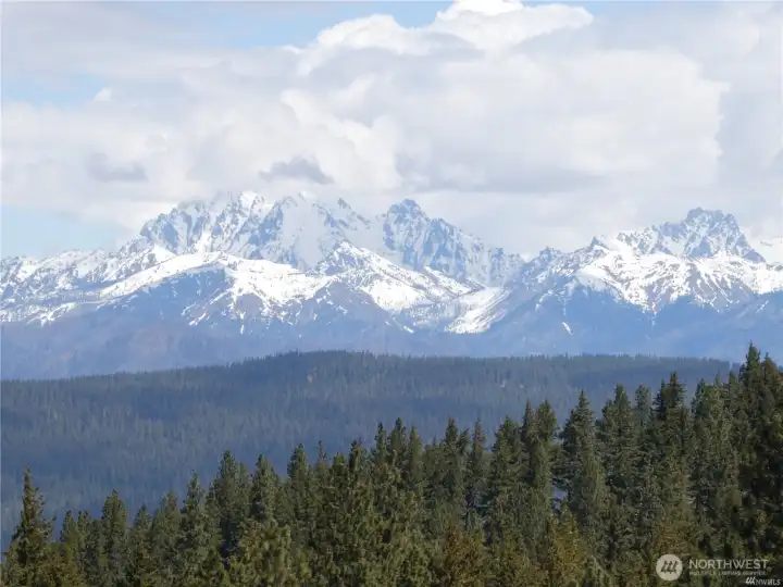 Mount Stewart view from the top of the property