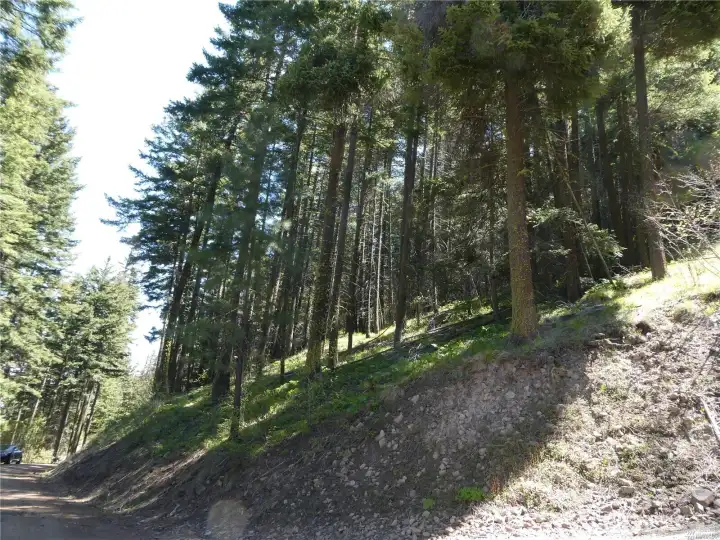 Possible spot for a driveway off of Skull Road on lower part of property