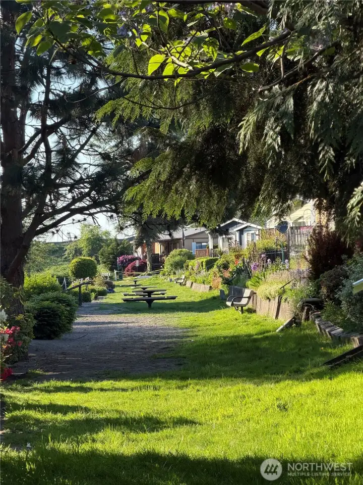 River trail