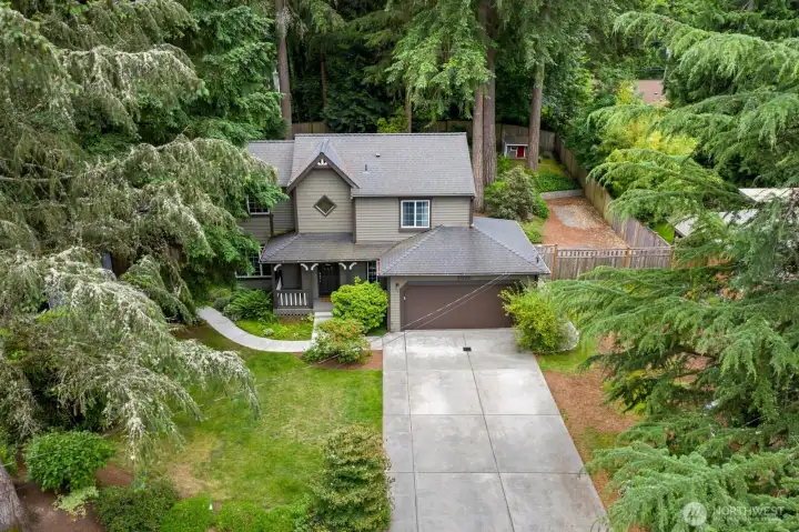 Large, private lot with mature trees