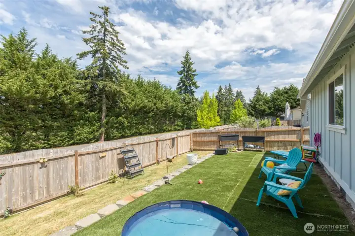 Backyard - Privacy trees across the street