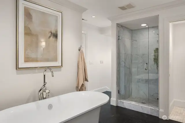 Lower-level full primary bath with stand-alone tub and beautiful shower.