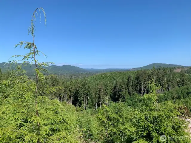 view from neighboring property
