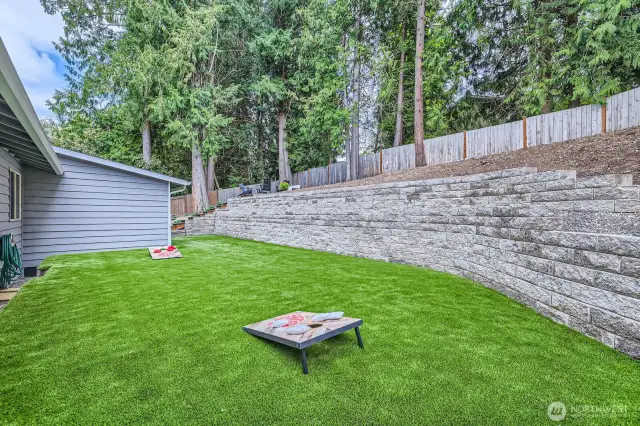 Turf lawn - no mowing!