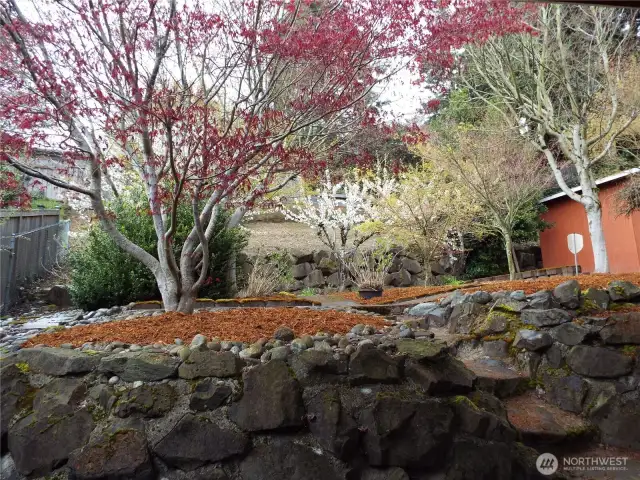 Nice backyard