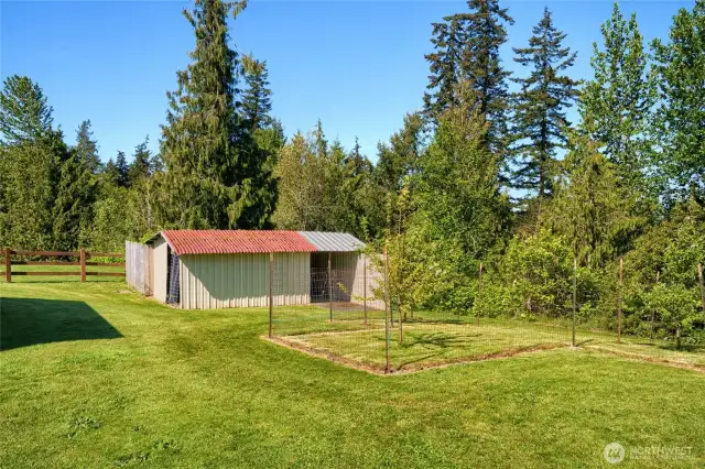 Chicken Coop
