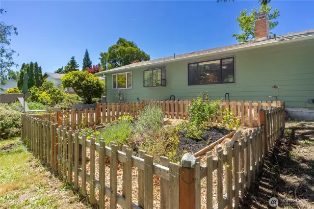 Fenced in raised garden beds for veggies or flower cutting garden