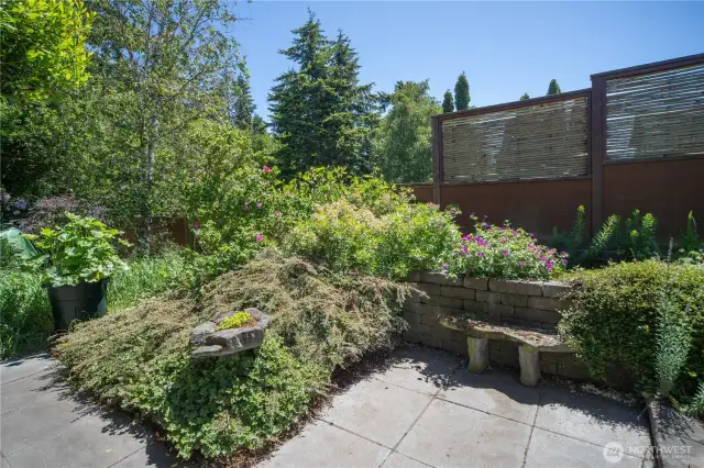 Other shot of the backyard patio