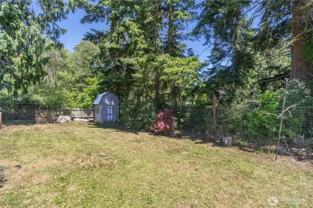Sunny backyard. These photos were taken about noon. Garden shed in the corner.