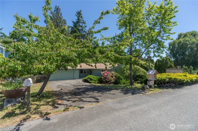 Mature landscaping