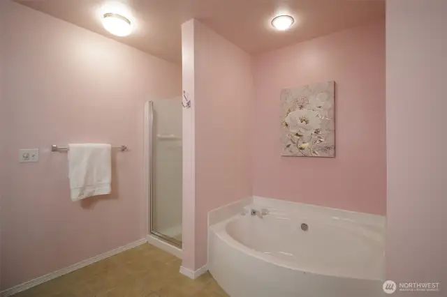 Shower and soaking tub..