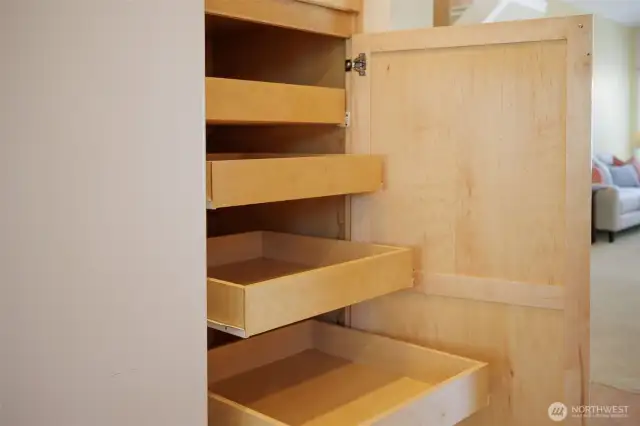 Well designed maple cabinet storage.