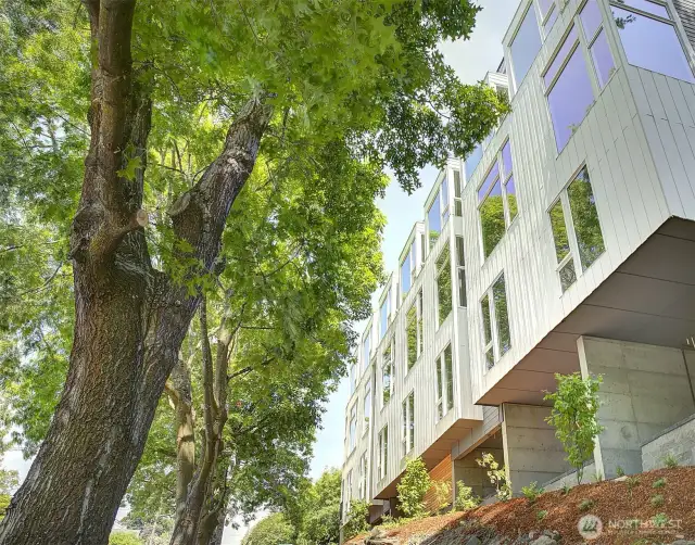 Backside of Townhomes where Storage Unit is Located