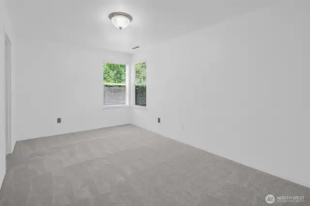 Bedroom #4 on the lower level has a walk-in closet, and is great for a guest room