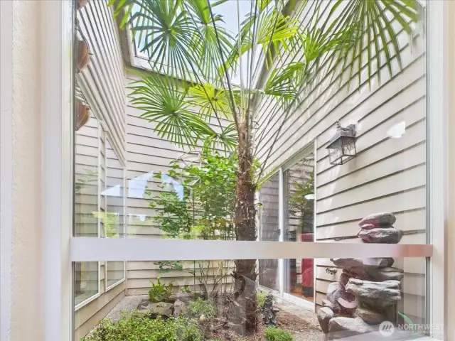 The charming solarium/atrium in the center of the house is open to the sky and maximizes natural light. It can be seen from the front living room, the dining room and the family room.