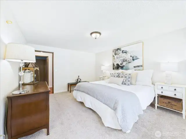 Spacious primary bedroom looks out to the backyard.