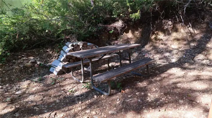 Picnic gathering for fun memories will last a lifetime.