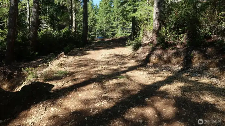 Driveway going down to the Shed and lake.
