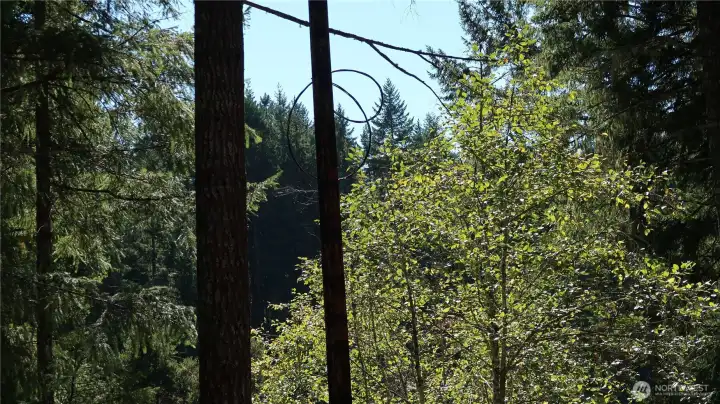 Power poll on the property.